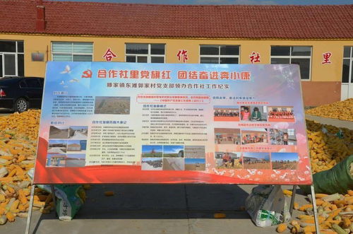 虎山鎮(zhèn)召開(kāi) 作風(fēng)大改進(jìn) 問(wèn)題大整改 工作大提升 行動(dòng)推進(jìn)會(huì)