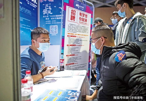 應屆生求職困境中的職業(yè)中介 機遇、風險與策略