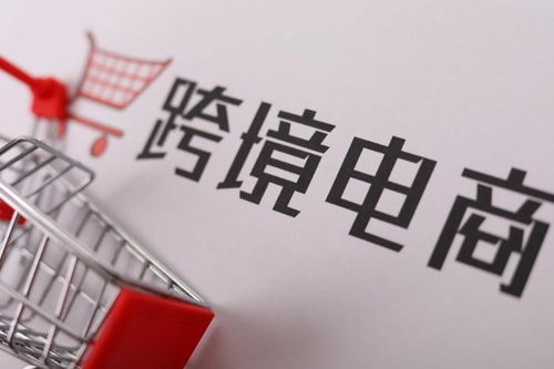 跨境電商選品干貨 全國商品產(chǎn)業(yè)鏈大全 下