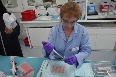 科技與美的碰撞 記者探訪歐萊雅研發中心與工廠，揭秘圣羅蘭美妝與人造皮膚創新